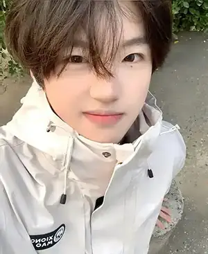 이미지